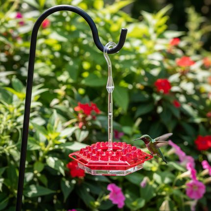 Hummingbird Feeder with Hexagonal Ports for Easy Cleaning | Vibrant Hanging Bird Feeder for Outdoor Spaces