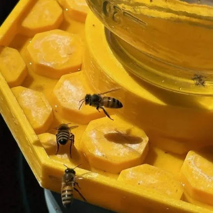 Bee Watering Station for Mason Jars, Bee Waterer for Pollinator Garden