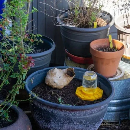 Bee Watering Station for Mason Jars, Outdoor Decor and Garden Decor for Yard – image 5