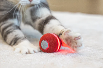 Interactive Smart Ball for Pets with Remote Control | Engaging Playtime for Dogs and Cats