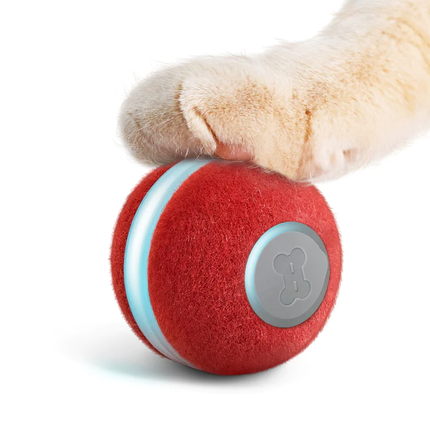 Interactive Smart Ball for Pets with Remote Control | Engaging Playtime for Dogs and Cats