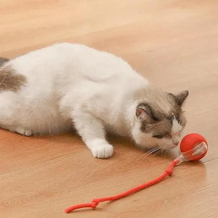 Interactive Cat Toy with Motion Sensors & Sound Effects | Engaging Fun for Pets