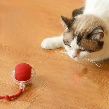 Interactive Cat Toy with Motion Sensors & Sound Effects | Engaging Fun for Pets