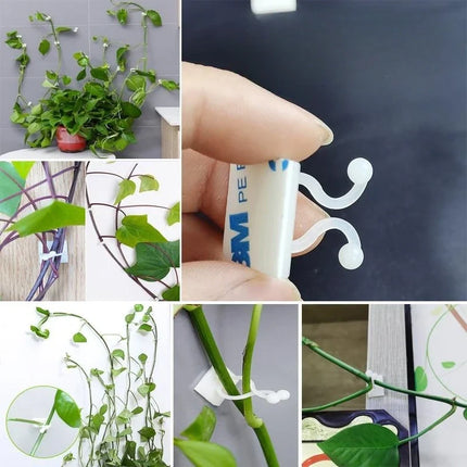 Self-Adhesive Plant Wall Clips with Strong Hold | 50-Piece Set for Easy Plant Organization