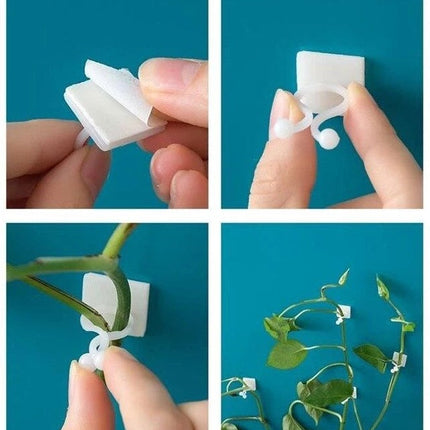 Self-Adhesive Plant Wall Clips with Strong Hold | 50-Piece Set for Easy Plant Organization