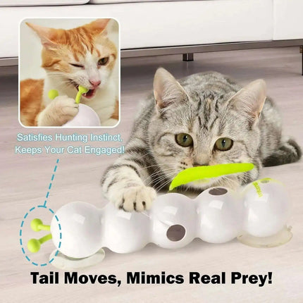 Interactive Cat Toys for Indoor Cats, Moving Cat Toy for Wall and Window – image 6