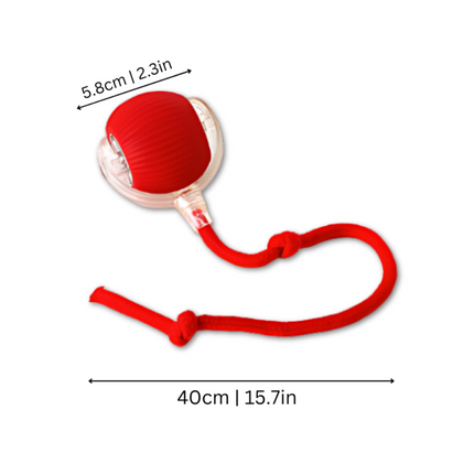 Interactive Dog Toy with Erratic Motion for Mental Stimulation | Rechargeable Chew Ball for Active Play