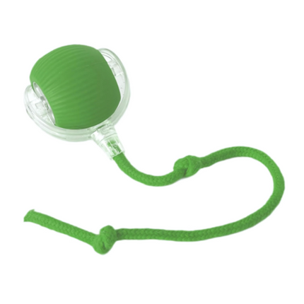 Interactive Dog Toy with Erratic Motion for Mental Stimulation | Rechargeable Chew Ball for Active Play