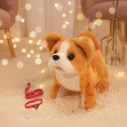 Shiba Inu