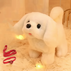 Bichon