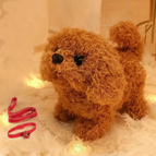 Teddy