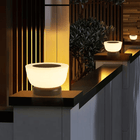 Outdoor Solar Lights, Solar Path Light with Warm White LED, Waterproof Outdoor LED Lamp for Garden and Driveway_04