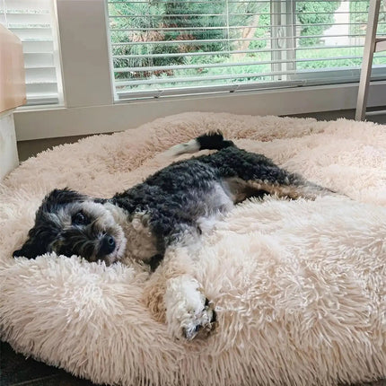 Anxiety-Relieving Dog Bed with Plush Cozy Design | Comfortable Rest for Small to Large Dogs