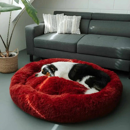 Anxiety-Relieving Dog Bed with Plush Cozy Design | Comfortable Rest for Small to Large Dogs
