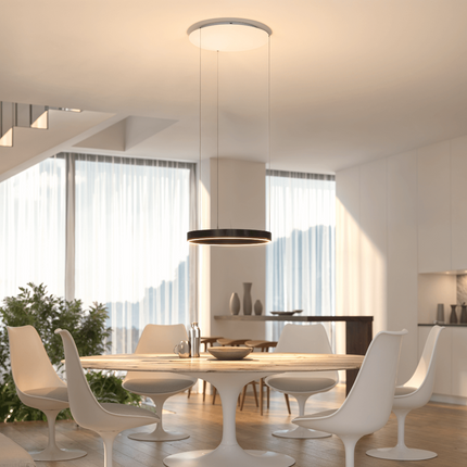 LED Ceiling Light Pendant with Dimmable Illumination | Modern Flush Mount Fixture for Living Room and Dining Areas