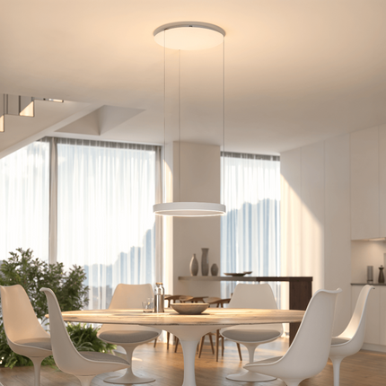 LED Ceiling Light Pendant with Dimmable Illumination | Modern Flush Mount Fixture for Living Room and Dining Areas