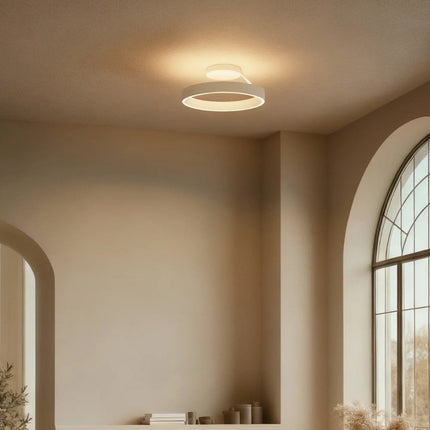 LED Flush Mount Ceiling Light in Modern Round Design | Energy-Efficient Lighting for Hallways and Bedrooms