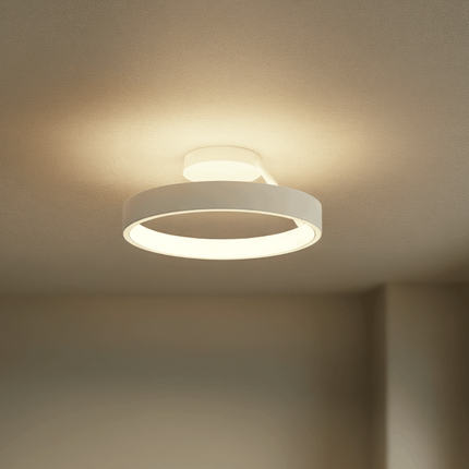 LED Flush Mount Ceiling Light in Modern Round Design | Energy-Efficient Lighting for Hallways and Bedrooms