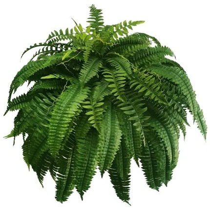 Artificial Boston Ferns Set of 18, Fake Plants Indoor and Outdoor – image 6
