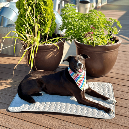 Portable Self-Cooling Mat for Dogs | Machine Washable Pet Cooling Pad in Multiple Sizes