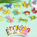 Insects