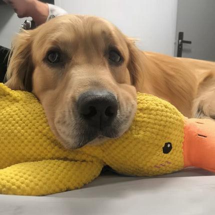Calming Dog Toy with Realistic Quacking Sound | Durable Chew Toy for Anxiety Relief and Engaging Play
