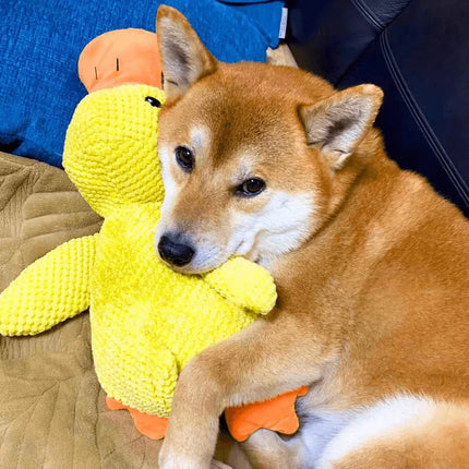Calming Dog Toy with Realistic Quacking Sound | Durable Chew Toy for Anxiety Relief and Engaging Play