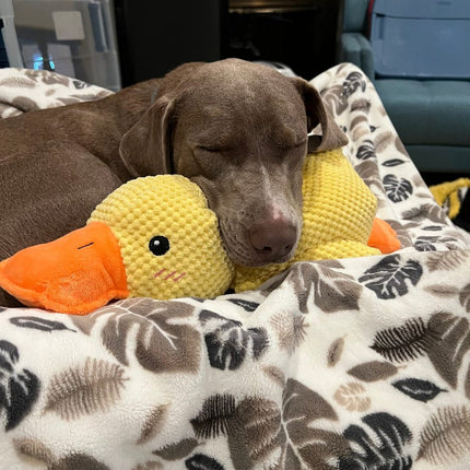 Calming Dog Toy with Realistic Quacking Sound | Durable Chew Toy for Anxiety Relief and Engaging Play