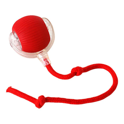 Interactive Cat Toy with Motion Sensors & Sound Effects | Engaging Fun for Pets