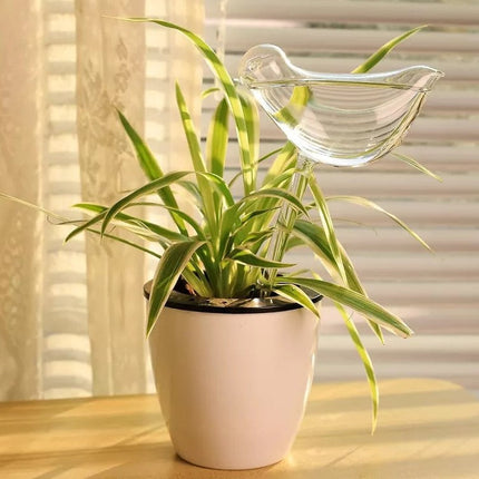 Self-Watering Plant Glass Bulbs with Eco-Friendly Design | Set of 2 for Hassle-Free Plant Care