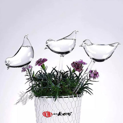 Self-Watering Plant Glass Bulbs with Eco-Friendly Design | Set of 2 for Hassle-Free Plant Care