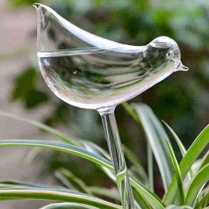 Self-Watering Plant Glass Bulbs with Eco-Friendly Design | Set of 2 for Hassle-Free Plant Care