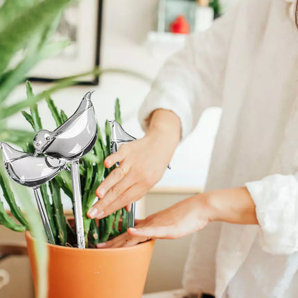 Self-Watering Plant Glass Bulbs with Eco-Friendly Design | Set of 2 for Hassle-Free Plant Care