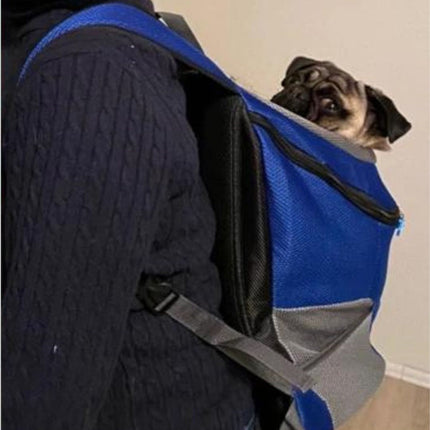 Pet Carrier Backpack with Breathable Mesh & Adjustable Straps | Comfortable Travel Solution for Pets