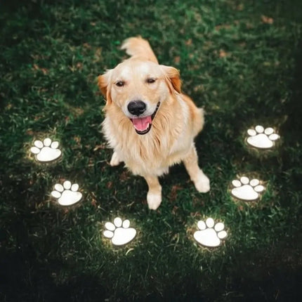 Solar Paw Print Lights for Outdoor Garden Path Decor | Waterproof with Automatic Dusk Sensor for Charming Illumination