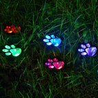 3 Pack / Multicolor