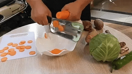 Stainless Steel Vegetable Shredder with Ergonomic Handle | Easy Grater for Effortless Meal Prep