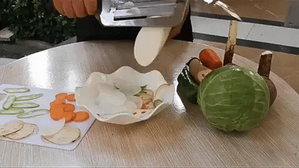 Stainless Steel Vegetable Shredder with Ergonomic Handle | Easy Grater for Effortless Meal Prep