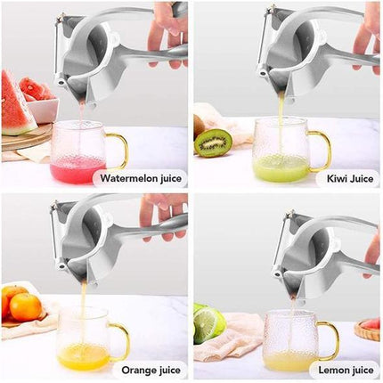 Stainless Steel Citrus Juicer with Lever – image 9