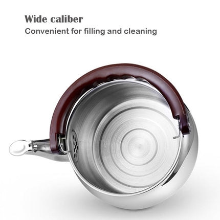 Stainless Steel Tea Kettle, Whistling Kettle with Ergonomic Handle