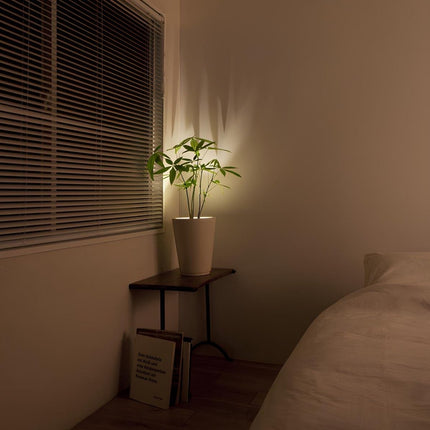 Battery Operated LED Wall Sconce with Adjustable Head | Remote Control Accent Lighting for Indoor Displays