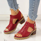 Red / US 6 / EU 37 / AU 6
