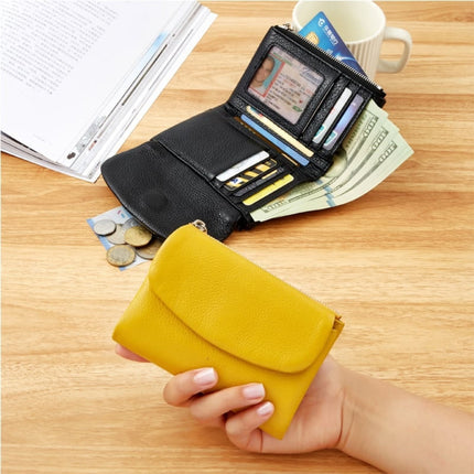 RFID Wallet for Women with Slim Bifold Design and Coin Pocket | Organized Daily Carry for Cards and Cash