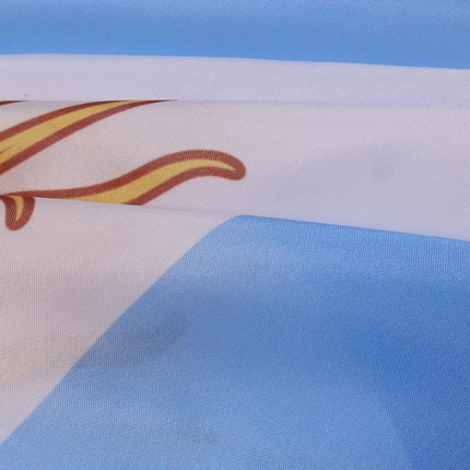 Argentina Flag Hooded Cape for Fans | Lightweight 3 x 5 ft Design for Game Days and Celebrations