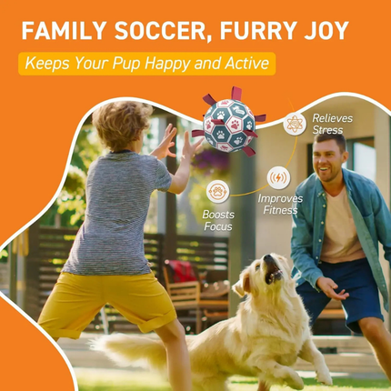 Interactive Dog Soccer Ball Toy with Dual Rope Handles | Durable Fetch Toy for Outdoor Play and Exercise